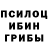 Псилоцибиновые грибы GOLDEN TEACHER Ksenia Marak