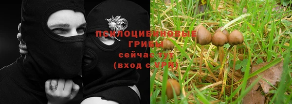 винт Алексеевка